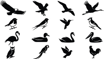 Obraz premium Black Bird Silhouette Collection with Flying Eagles, Cranes, Swans, Flamingos, Owls, Pelicans, Ducks, Parrots, Roosters and Songbirds