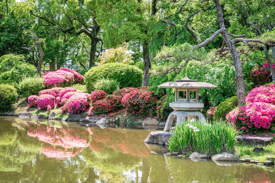 Hermoso jard&iacute;n japon&eacute;s tradicional durante la temporada de floraci&oacute;n y honemantaci&oacute;n cl&aacute;sica