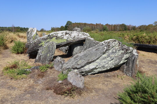 M&eacute;galithes dans les landes de Cojoux, ville de Saint Just, d&eacute;partement de l'Ille et Vilaine, Bretagne, France