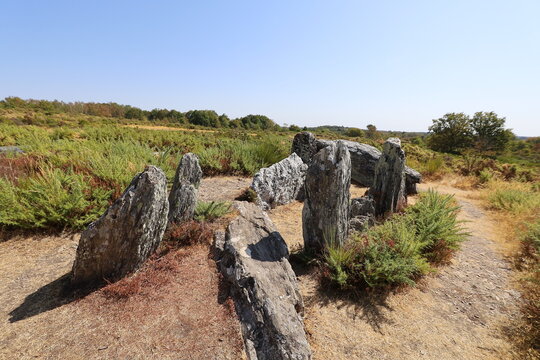 M&eacute;galithes dans les landes de Cojoux, ville de Saint Just, d&eacute;partement de l'Ille et Vilaine, Bretagne, France