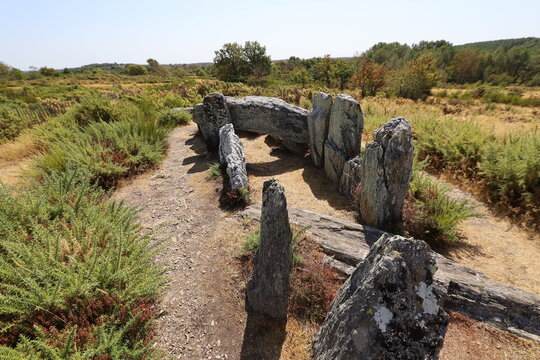 M&eacute;galithes dans les landes de Cojoux, ville de Saint Just, d&eacute;partement de l'Ille et Vilaine, Bretagne, France