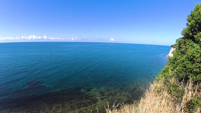 Coastal ocean horizon viewed from a vegetated cliff as calm blue water stretches toward the clear sky in a bright tropical seaside landscape