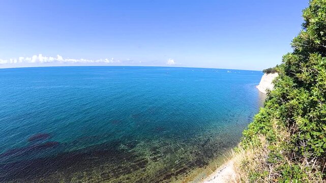 Coastal ocean horizon viewed from a vegetated cliff as calm blue water stretches toward the clear sky in a bright tropical seaside landscape