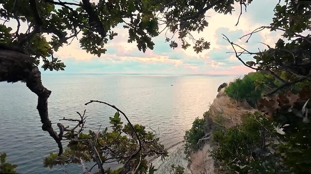 Coastal cliff overlooking calm sea beneath leafy branches and pastel sunset sky, with a narrow dirt path through dry grass and shrubs