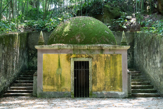 Moss-Covered Stone Structure in a Forest