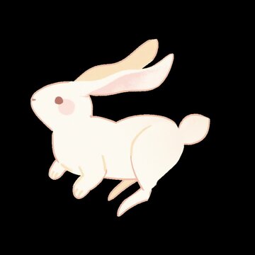 Runaway Rabbit