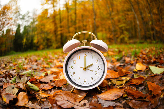 End of daylight saving time in autumn, winter time changeover, alarm clock fall back switch, colorful foliage in forest