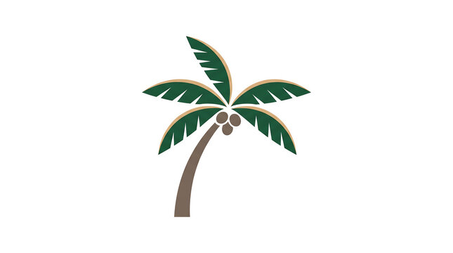 Stylized illustration of a palm tree with coconuts on a white background.