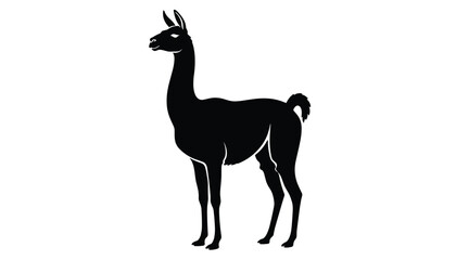 Fototapeta premium Full-body black silhouette of an Andean llama standing majestically on a solid white background showcasing its long neck and thick fur.