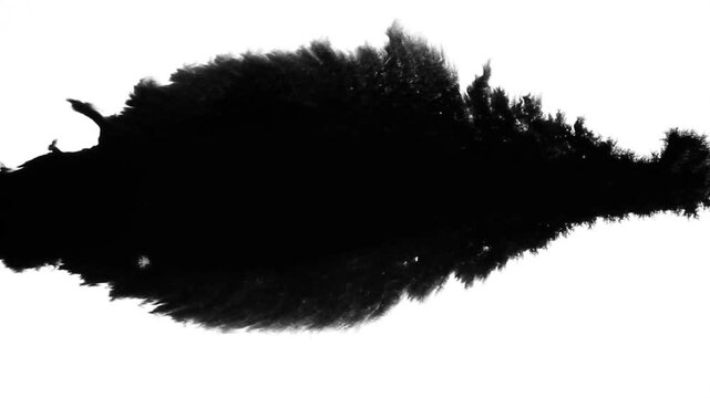 Deep black ink spreads on white, creating bold, textured visuals. Perfect for cinematic titles, transitions, or luma mattes in motion graphics and film projects with a dramatic, moody effect.