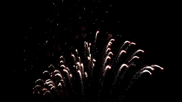 Bright white fireworks display sparkling in dark night sky, glowing fireworks explosion for festive celebration, pyrotechnic show background
