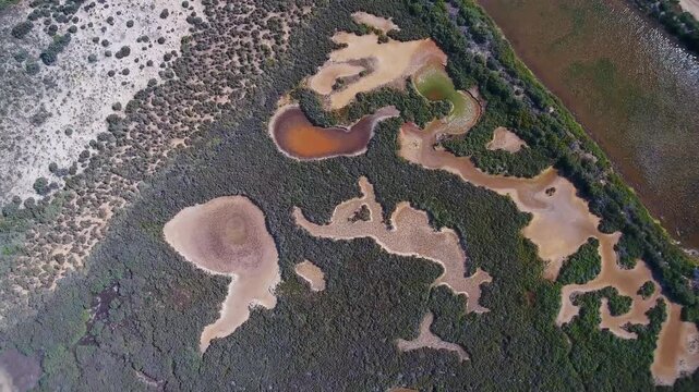 Beautiful aerial top down view of the ria formosa natural park, a stunning coastal lagoon with intricate marshland patterns, salt pans, and lush green vegetation in algarve, portugal