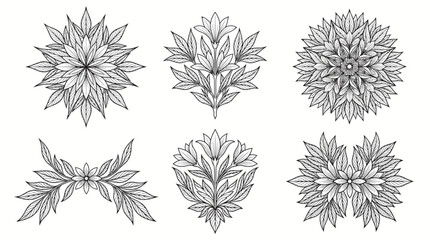 Obraz premium Abstract intricate black line art floral patterns