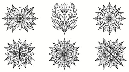 Obraz premium Intricate geometric flower mandala designs