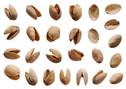 Empty pistachio shells set including open cracked shells, inner and outer side single shells isolated on transparent background. Pistachio nut collage in natural light.