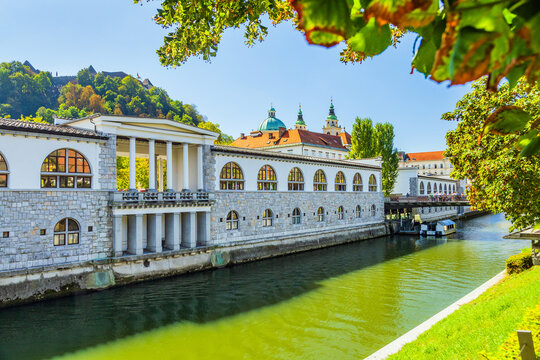 River Ljubljanica and beautiful waterfront in city of Ljubljana, capital of Slovenia 