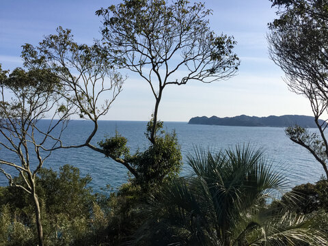 海岸の木々とヤシの葉の間から見える青い海と岬