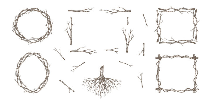 Rustic hand drawn wooden branches twigs and tree roots frames border collection vector graphic design illustration set.