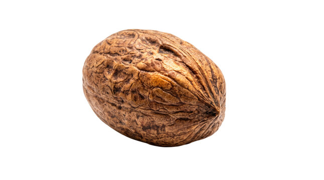 Whole walnut with textured shell on white isolated on transparent background
