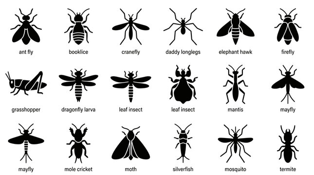 Detailed black silhouette icons set featuring various common insects and pests with clear text labels below them