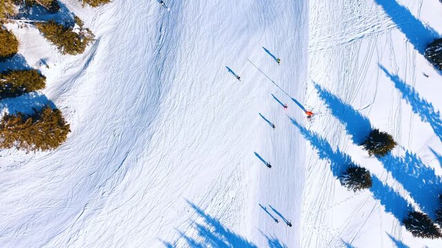Winter sports on a groomed snow slope, overhead aerial view. Skiers move along a wide white track bordered by evergreen pine trees casting blue shadows on sunlight ground.