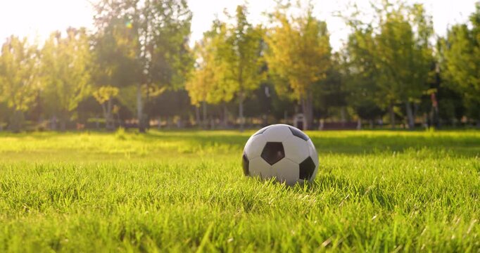 Soccer ball rolls across green grass in sunlit park. Autumn trees create outdoor sports scene for football training recreation. Peaceful daylight footage supports fitness lifestyle concepts.
