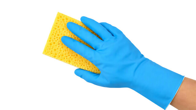 Hand wearing blue glove holding yellow sponge isolated on transparent background. 