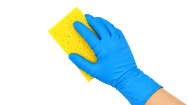 Hand wearing blue glove holding yellow sponge isolated on transparent background. 
