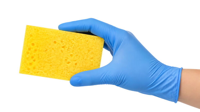 Hand wearing blue glove holding yellow sponge isolated on transparent background. 