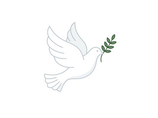 Obraz premium White dove carrying olive branch