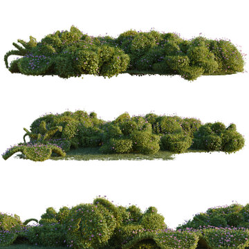 Oxalis corymbosa tree line, Forest Edge, Backdrop cutout, isolate transparent background, Realistic Lavender Bushes - High Resolution PNG Elements for Landscape Design & Garden Decor