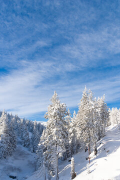 Snowy mountain resort landscape with fir trees under a vivid blue sky, perfect winter vacation and tourism background for ski holidays, travel advertising, outdoor recreation and seasonal campaigns