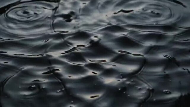 Close Up Water Ripples Showing Tiny Fish Swimming Beneath Surface
