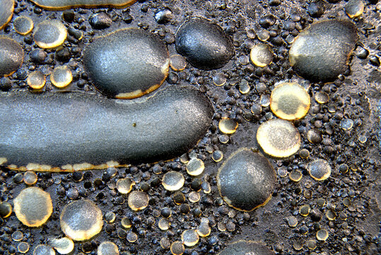 Congealed grease macro texture with layered oily residue