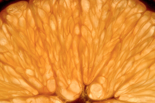 Macro texture of backlit orange slice with glowing pulp