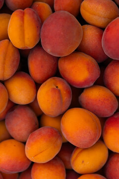 Fresh apricot fruit background with ripe summer harvest
