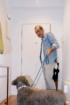 Senior man returning home with Spanish Water Dog on leash