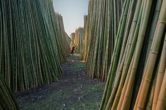 Bamboo Craft Village in Bac Ninh, Vietnam