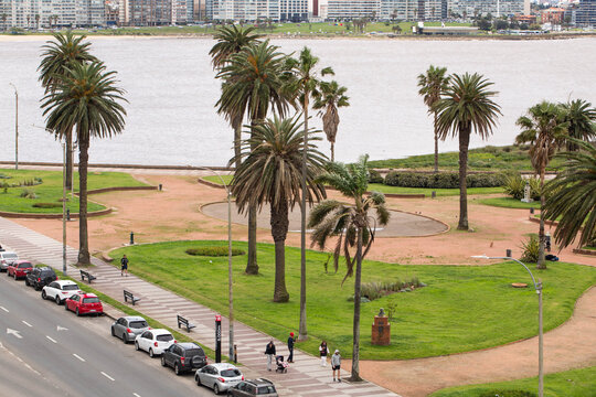 Panoramic View of Pocitos District with Palm Trees and Sandy Beach in Montevideo