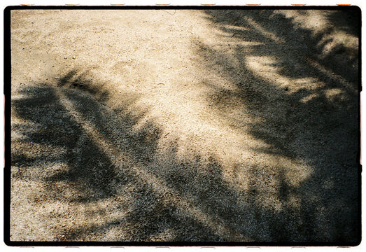 Textured Sand in Mexico
