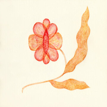 Warm colors flower