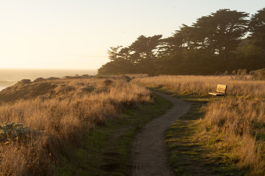 Coastal trail and empty bench at golden hour