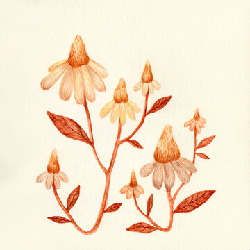 Vintage style chamomile art