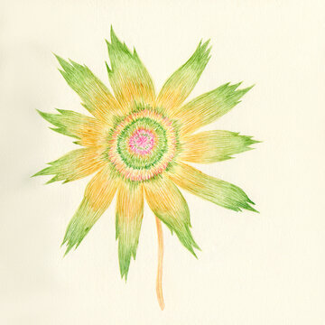 yellow green flower