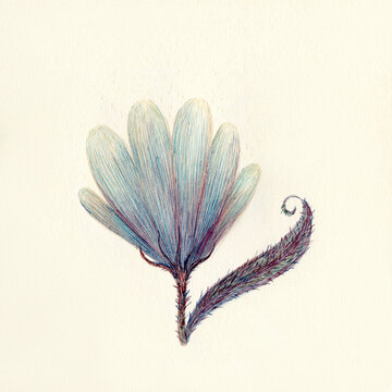 Blue flower