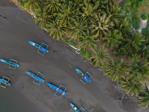 Top Down View Of Traditional Outrigger  Fishing Boats And Palm Trees