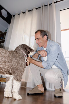 Smiling older man bonding with his dog during indoor training