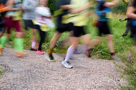 Trail Race Runners in Motion on Gravel Path