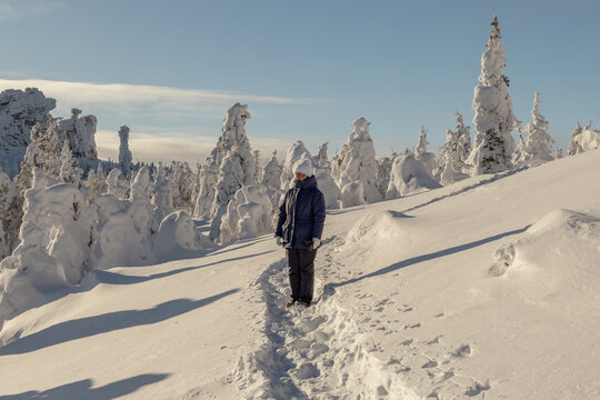 Person on Snowy Trail