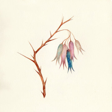 Delicate flowers on twig